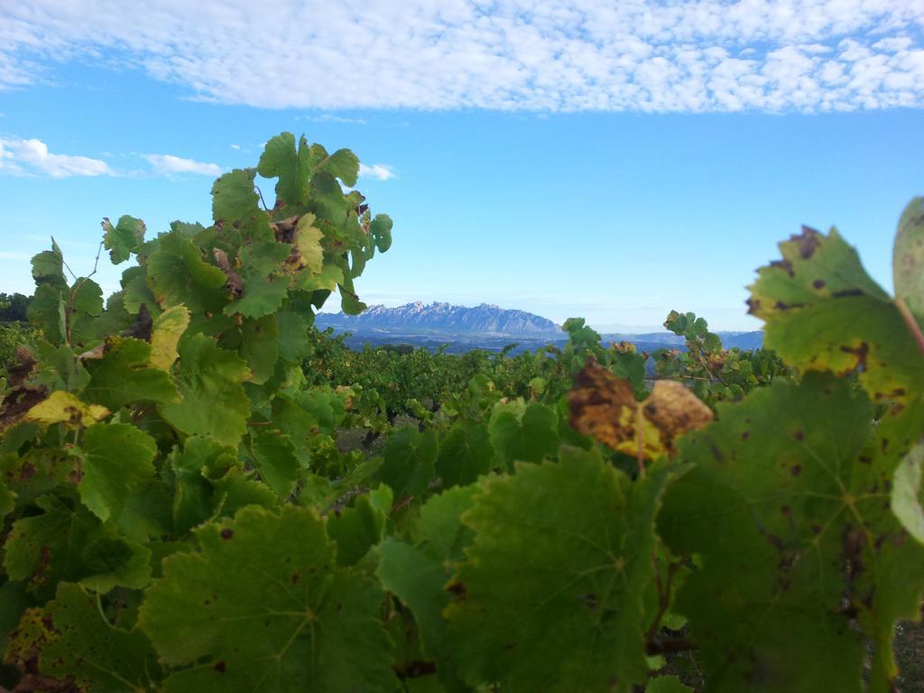 Maison d'hôtes Agroturisme Cal Jeroni à Avinyonet del Penedes Extérieur photo