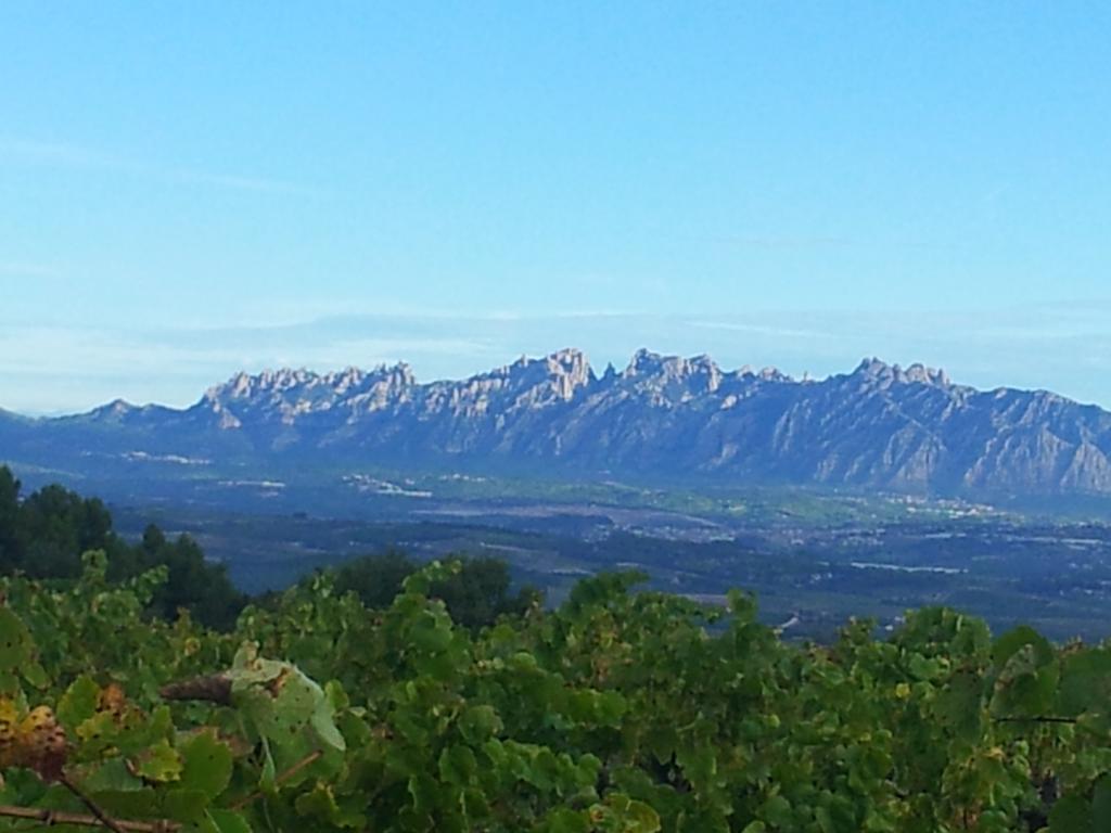 Maison d'hôtes Agroturisme Cal Jeroni à Avinyonet del Penedes Extérieur photo